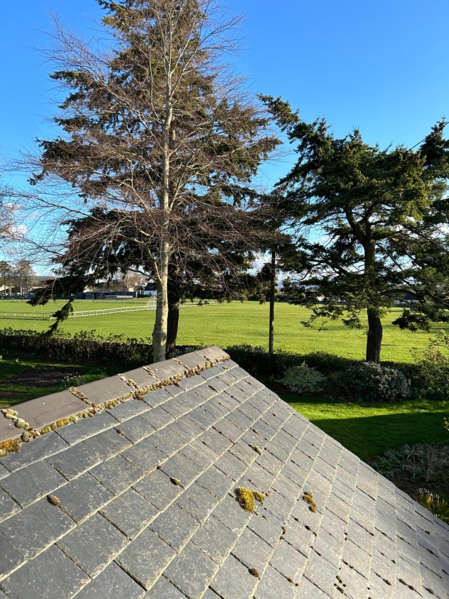 Glen Lyon Lodge Bed And Breakfast Nairn Luaran gambar